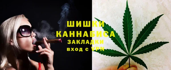 шишки Тында
