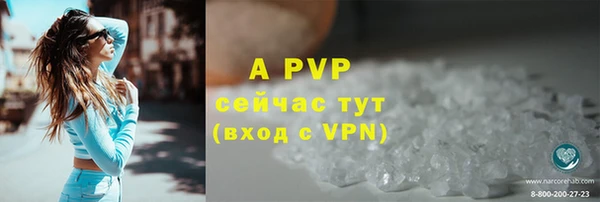 дурь Туринск